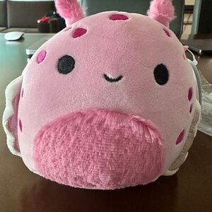 Shabnam the 5” pink sea slug squishmallows cute sealife
